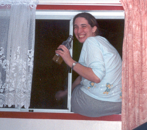 fall_out_the_window_sure.jpg